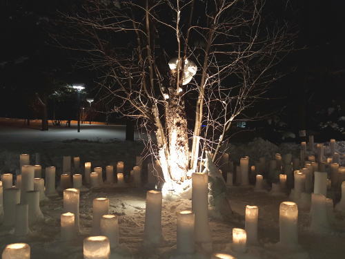 極寒の旭川でホッとする光景