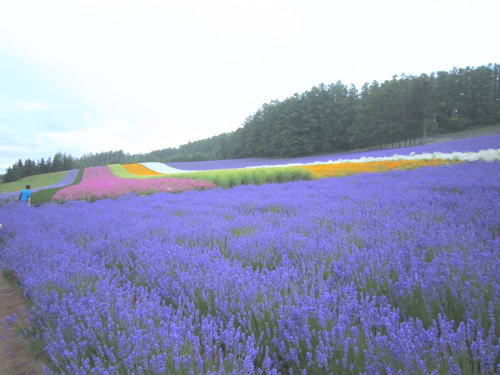 ストレスに強いメンタルを作るために日常生活でできること