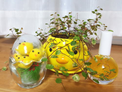 グリーンからイエローへ、心の変化