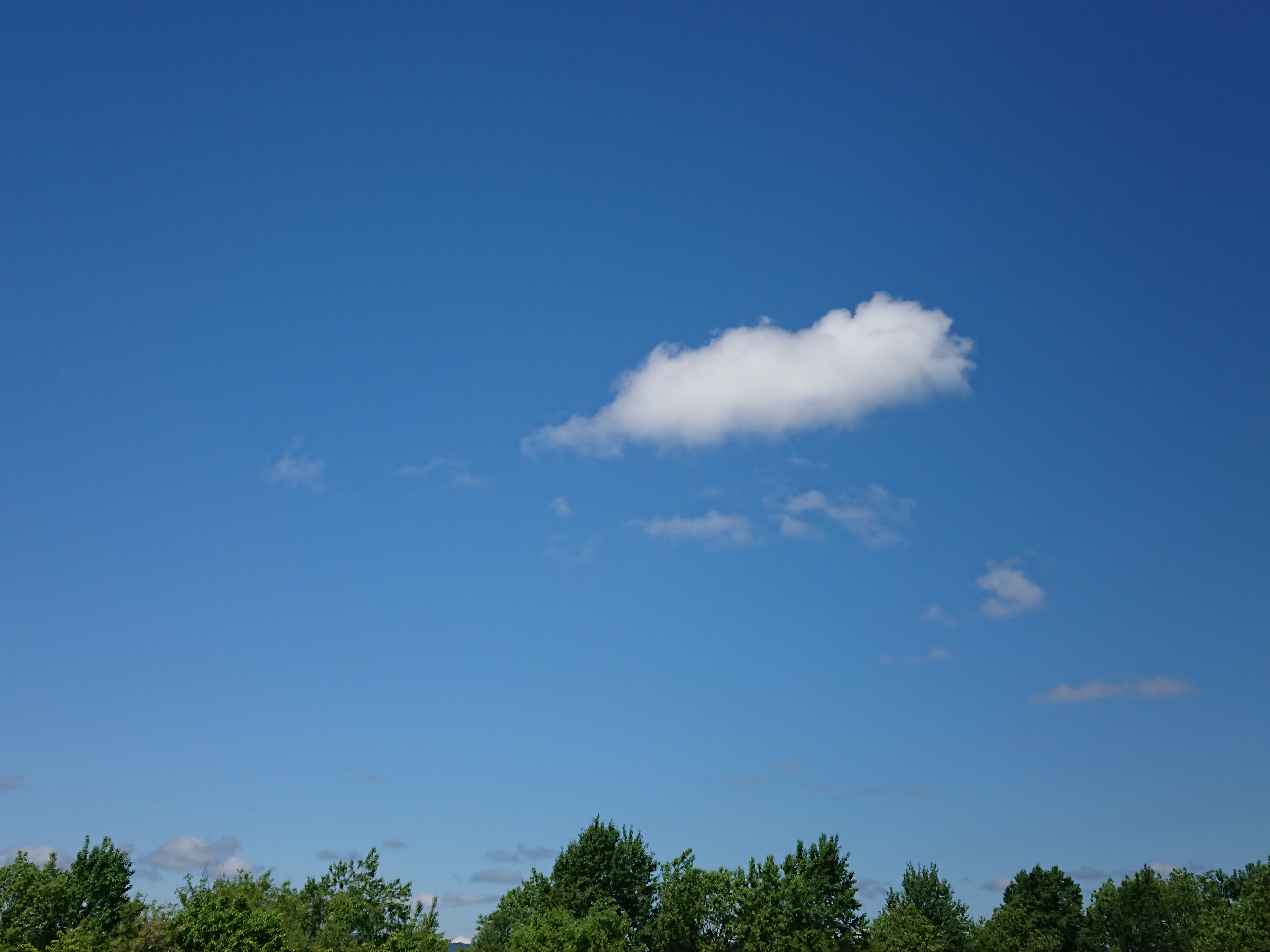 前向きに気持ちの良い心でいるために