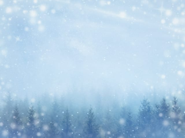 北海道の冬あるある！雪予報は良く当たる？