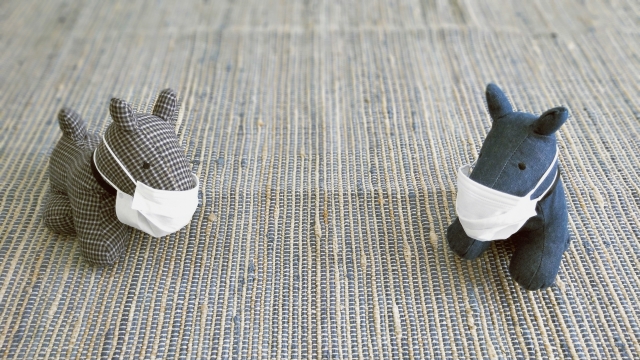 人間関係の悩みが解決した人が急増？心地良い距離感を見つけた！