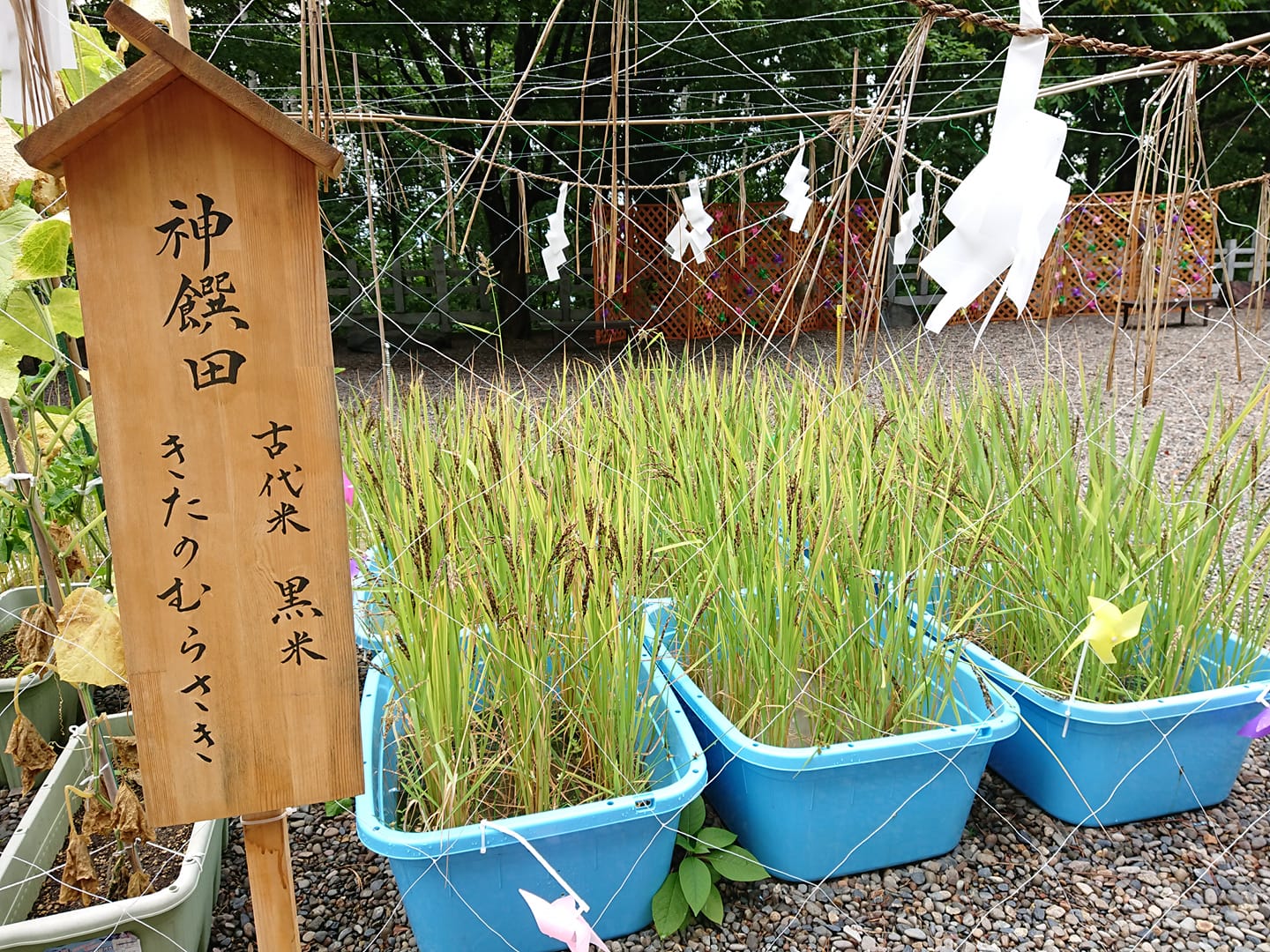 新しい月の始まり！どんな1ヶ月にしますか？