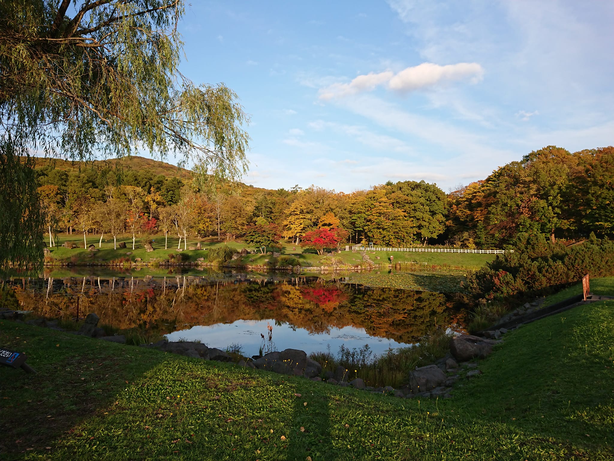 メンタルヘルスサポートと自分の心のメンテナンス