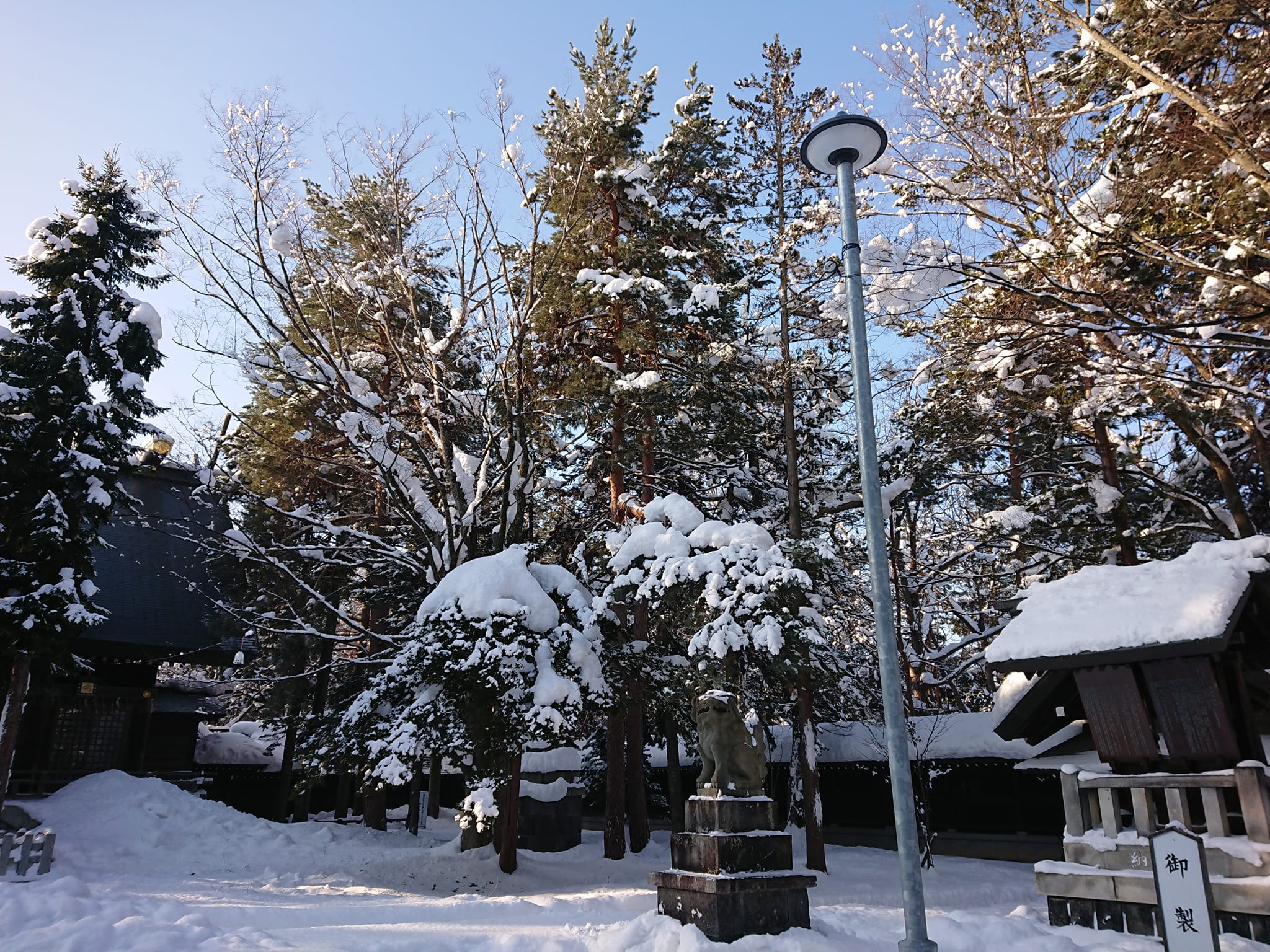 心も体も温め、リラックスさせる色