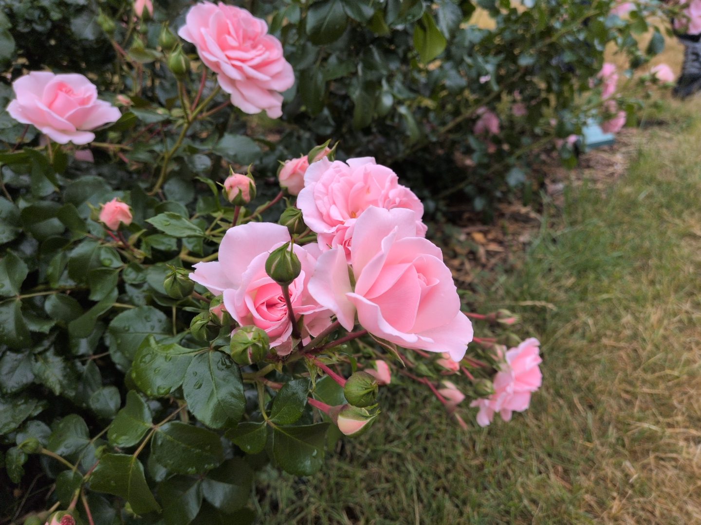 達成感と開放感と色