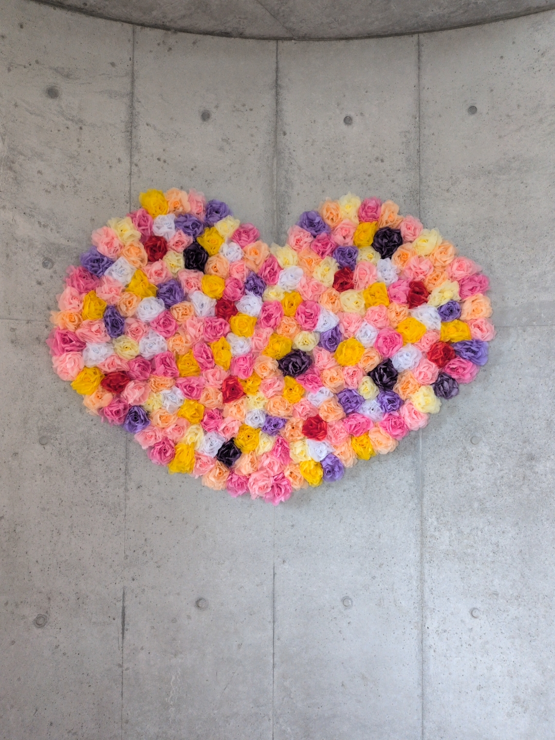 自分の気持ちを知る方法～最近の写真を見直す